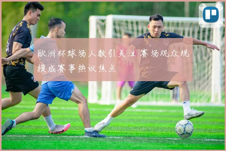 欧洲杯球场人数引关注 赛场观众规模成赛事热议焦点