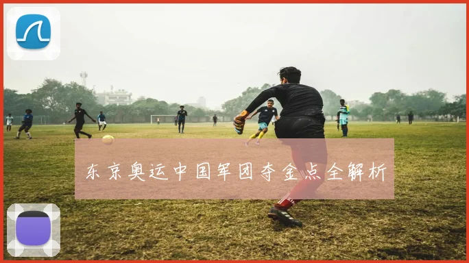 东京奥运中国军团夺金点全解析