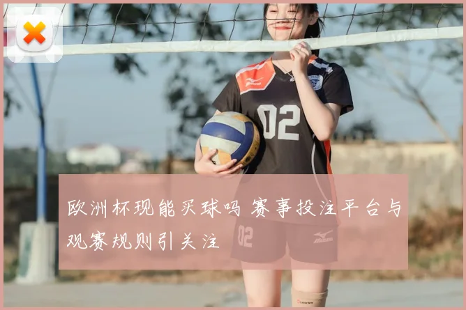 欧洲杯现能买球吗 赛事投注平台与观赛规则引关注