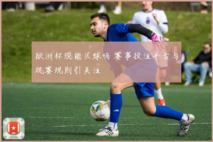 欧洲杯现能买球吗 赛事投注平台与观赛规则引关注