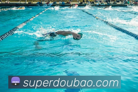 leyu体育官网平台生态图